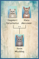 ansehen 2 Katzen Familie